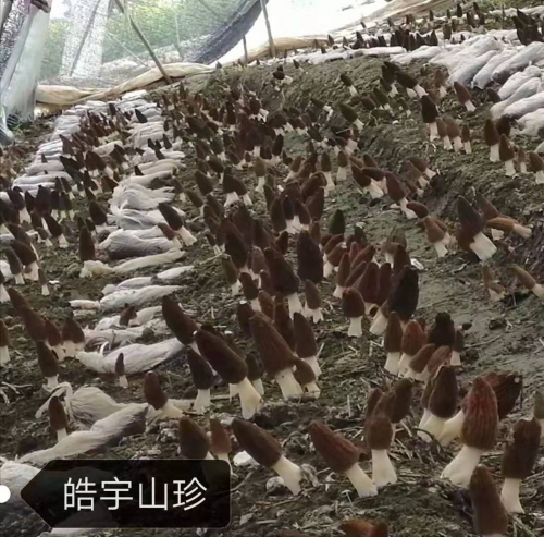 &#20048;&#23478;&#65288;&#20013;&#22269;&#65289;&#26377;&#38480;&#20844;&#21496;&#32;&#124;&#32;&#28020;&#23460;&#32;&#124;&#32;&#20048;&#23478;
