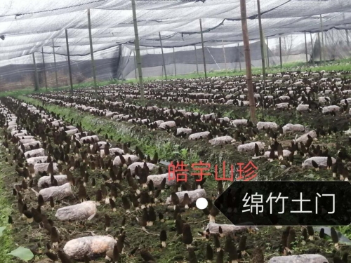 &#20048;&#23478;&#65288;&#20013;&#22269;&#65289;&#26377;&#38480;&#20844;&#21496;&#32;&#124;&#32;&#28020;&#23460;&#32;&#124;&#32;&#20048;&#23478;