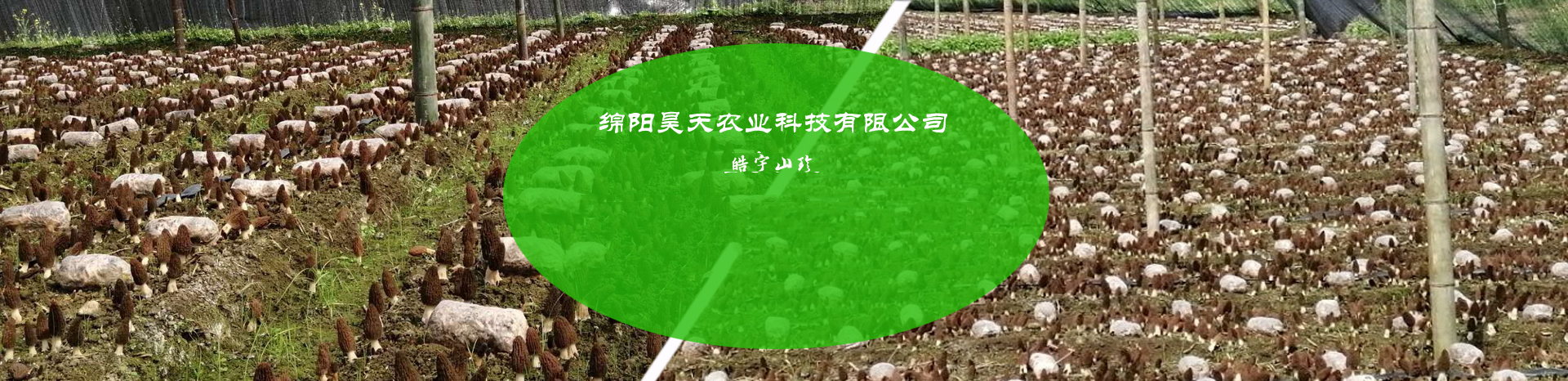 &#20048;&#23478;&#65288;&#20013;&#22269;&#65289;&#26377;&#38480;&#20844;&#21496;&#32;&#124;&#32;&#28020;&#23460;&#32;&#124;&#32;&#20048;&#23478;