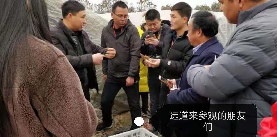 &#20048;&#23478;&#65288;&#20013;&#22269;&#65289;&#26377;&#38480;&#20844;&#21496;&#32;&#124;&#32;&#28020;&#23460;&#32;&#124;&#32;&#20048;&#23478;