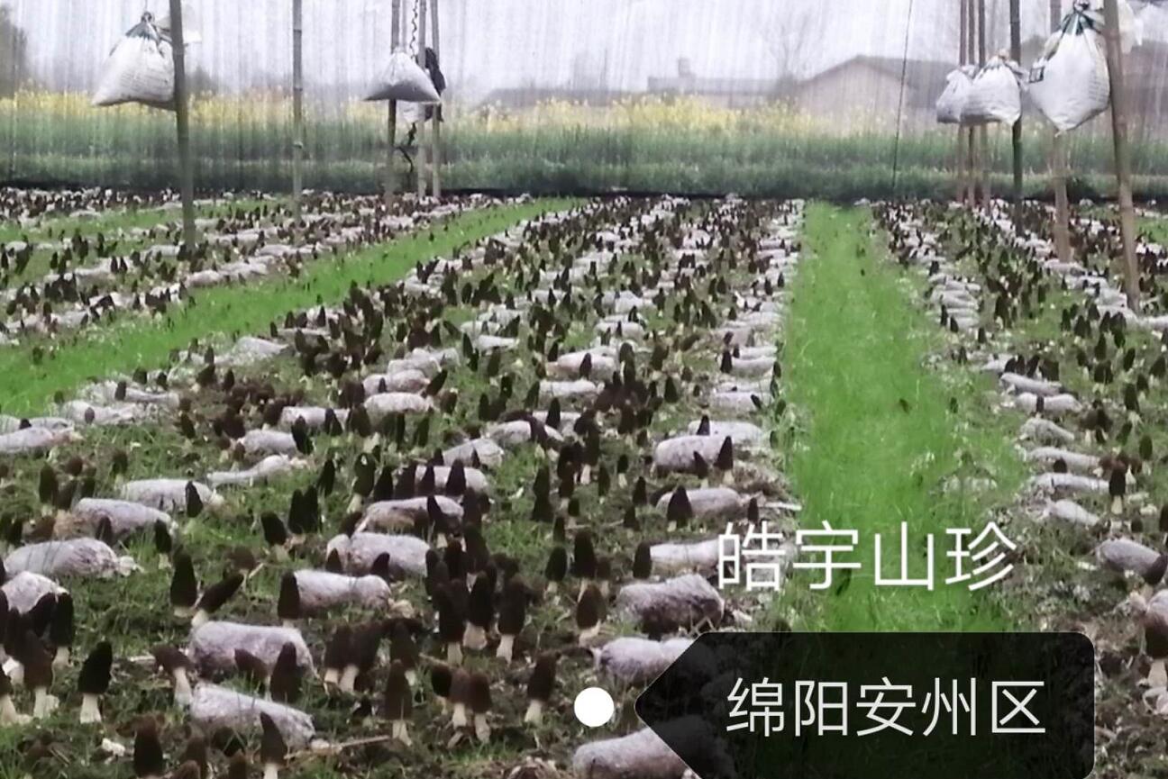 &#20048;&#23478;&#65288;&#20013;&#22269;&#65289;&#26377;&#38480;&#20844;&#21496;&#32;&#124;&#32;&#28020;&#23460;&#32;&#124;&#32;&#20048;&#23478;